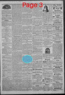 Page thumbnail for New Hampshire Statesman And Concord Register