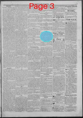 Page thumbnail for New Hampshire Statesman And Concord Register