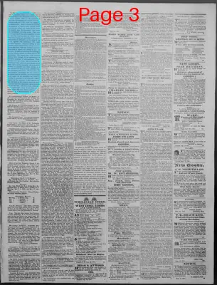 Page thumbnail for New Hampshire Statesman And State Journal