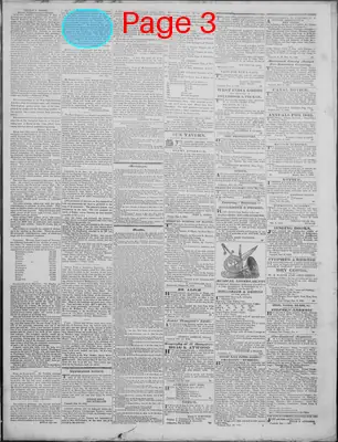 Page thumbnail for New Hampshire Statesman And State Journal