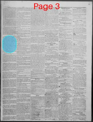 Page thumbnail for New Hampshire Statesman And State Journal