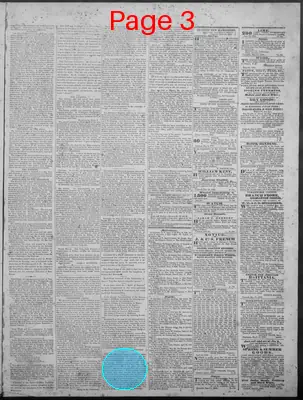 Page thumbnail for New Hampshire Statesman And State Journal