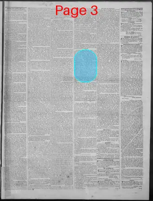 Page thumbnail for New Hampshire Statesman And State Journal