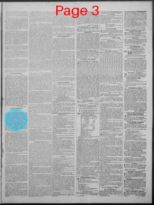 Page thumbnail for New Hampshire Statesman And State Journal