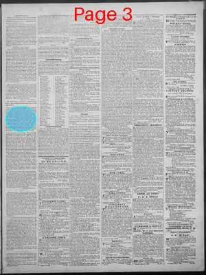 Page thumbnail for New Hampshire Statesman And State Journal