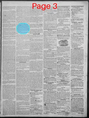 Page thumbnail for New Hampshire Statesman And State Journal