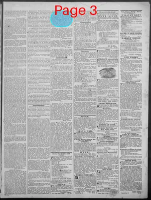 Page thumbnail for New Hampshire Statesman And State Journal