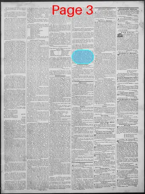 Page thumbnail for New Hampshire Statesman And State Journal