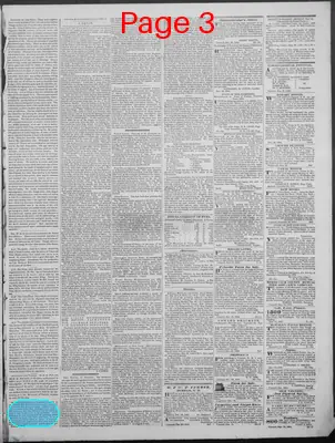 Page thumbnail for New Hampshire Statesman And State Journal