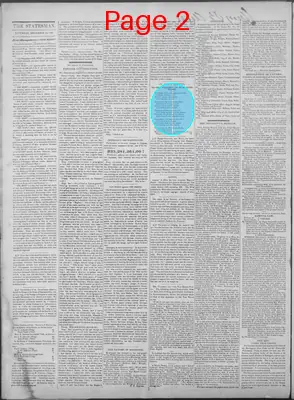 Page thumbnail for New Hampshire Statesman And State Journal