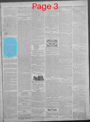 Page thumbnail for New Hampshire Statesman And State Journal