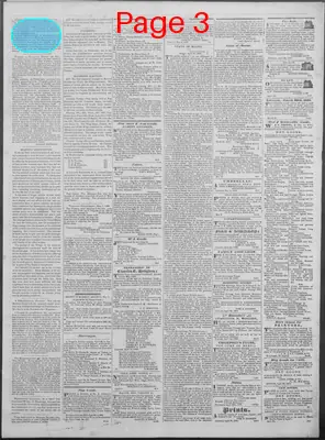 Page thumbnail for New Hampshire Statesman And State Journal