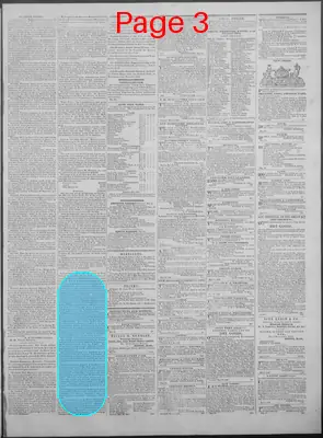 Page thumbnail for New Hampshire Statesman And State Journal