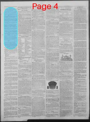 Page thumbnail for New Hampshire Statesman And State Journal