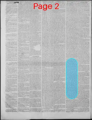 Page thumbnail for New Hampshire Statesman And State Journal