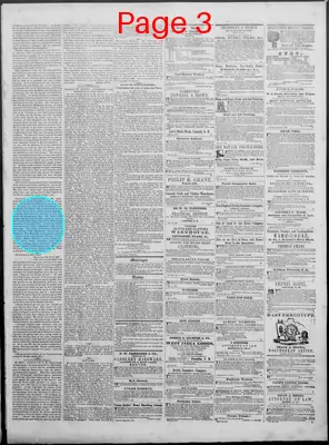 Page thumbnail for New Hampshire Statesman And State Journal