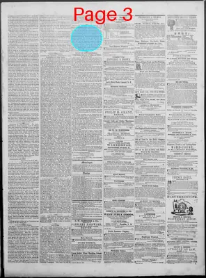 Page thumbnail for New Hampshire Statesman And State Journal