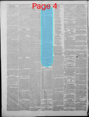 Page thumbnail for New Hampshire Statesman