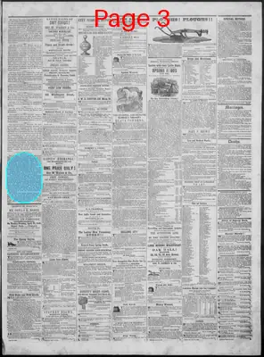 Page thumbnail for New Hampshire Statesman