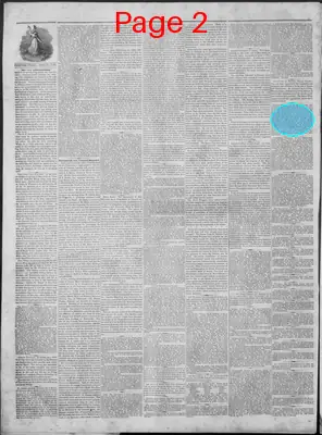 Page thumbnail for New Hampshire Statesman