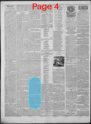 Page thumbnail for New Hampshire Statesman