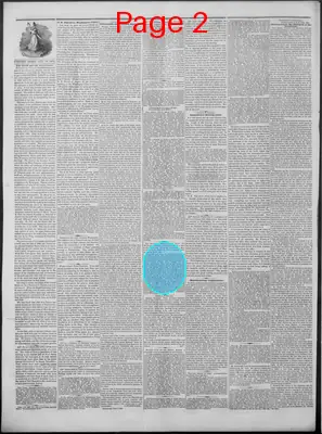 Page thumbnail for New Hampshire Statesman