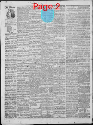 Page thumbnail for New Hampshire Statesman