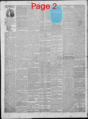 Page thumbnail for New Hampshire Statesman