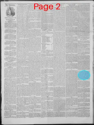 Page thumbnail for New Hampshire Statesman