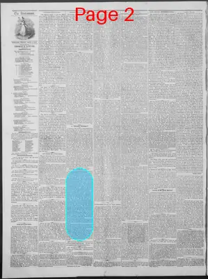 Page thumbnail for New Hampshire Statesman