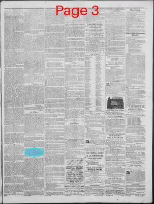 Page thumbnail for New Hampshire Statesman