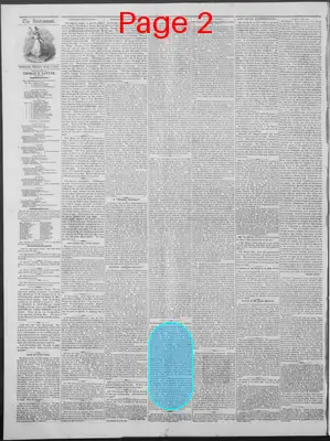 Page thumbnail for New Hampshire Statesman