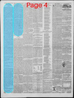 Page thumbnail for New Hampshire Statesman