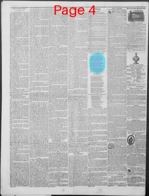Page thumbnail for New Hampshire Statesman