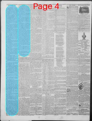 Page thumbnail for New Hampshire Statesman