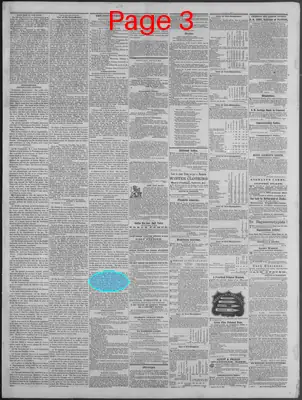 Page thumbnail for New Hampshire Statesman