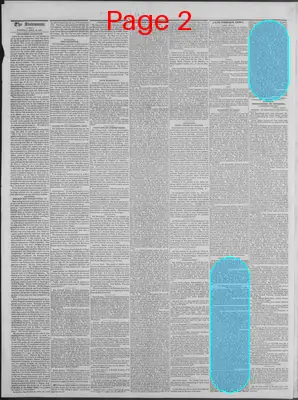 Page thumbnail for New Hampshire Statesman
