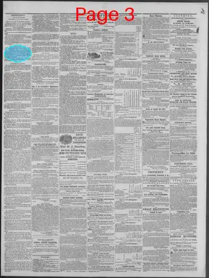 Page thumbnail for New Hampshire Statesman