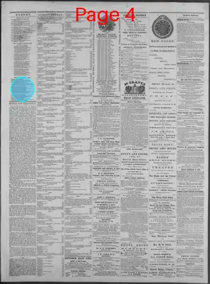 Page thumbnail for New Hampshire Statesman