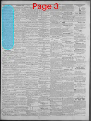 Page thumbnail for New Hampshire Statesman