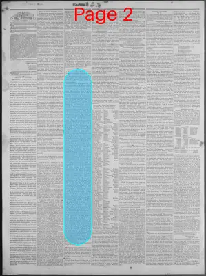 Page thumbnail for New Hampshire Statesman