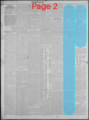 Page thumbnail for New Hampshire Statesman