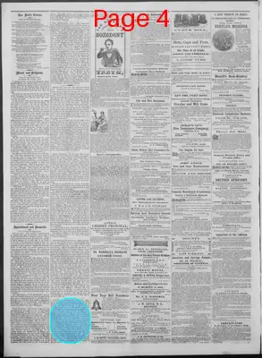 Page thumbnail for New Hampshire Statesman