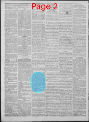Page thumbnail for New Hampshire Statesman