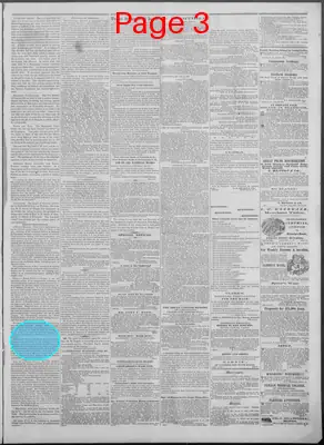 Page thumbnail for New Hampshire Statesman