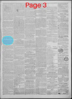 Page thumbnail for New Hampshire Statesman