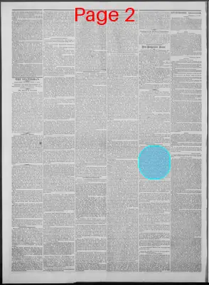 Page thumbnail for New Hampshire Statesman