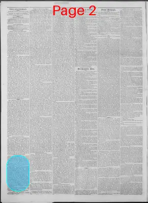 Page thumbnail for New Hampshire Statesman