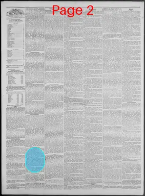Page thumbnail for New Hampshire Statesman