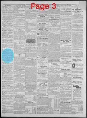 Page thumbnail for New Hampshire Statesman